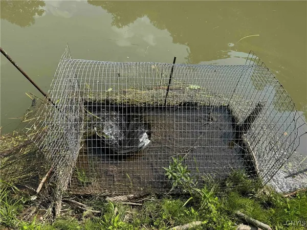 $50,000 | Creek Road, Olean, NY 14760