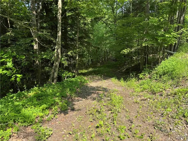 $50,000 | Creek Road, Olean, NY 14760