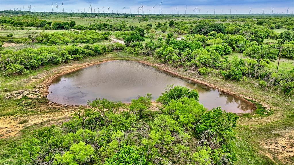 3377 Lodge Creek Road Henrietta, TX 76365 - Photo 5 of 40 a view of a garden