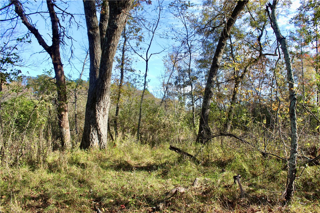 0 South Lowes Creek Road Eau Claire, WI 54701 - Photo 30 of 59