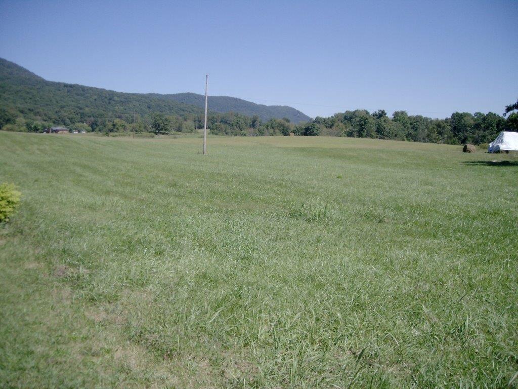 244 Rogers Road Speedwell, TN 37870 - Photo 12 of 12 PICT7725