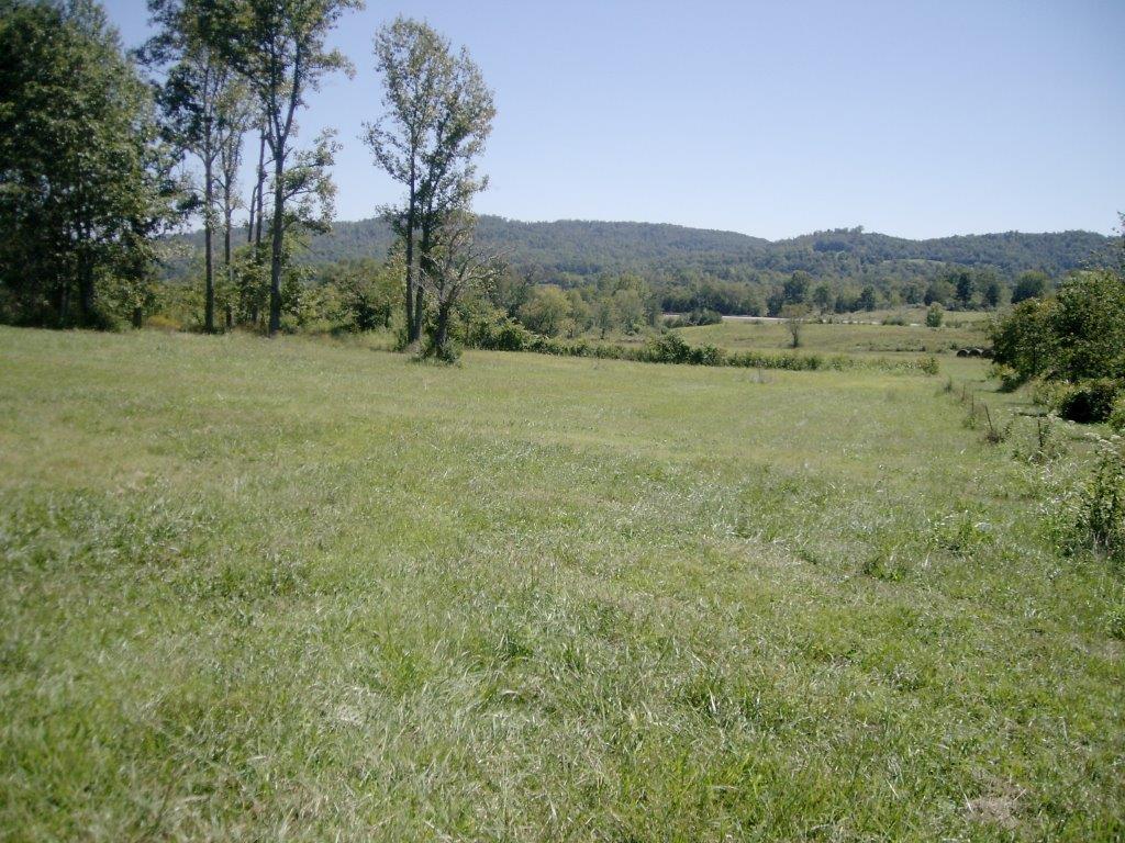 244 Rogers Road Speedwell, TN 37870 - Photo 4 of 12 PICT7727