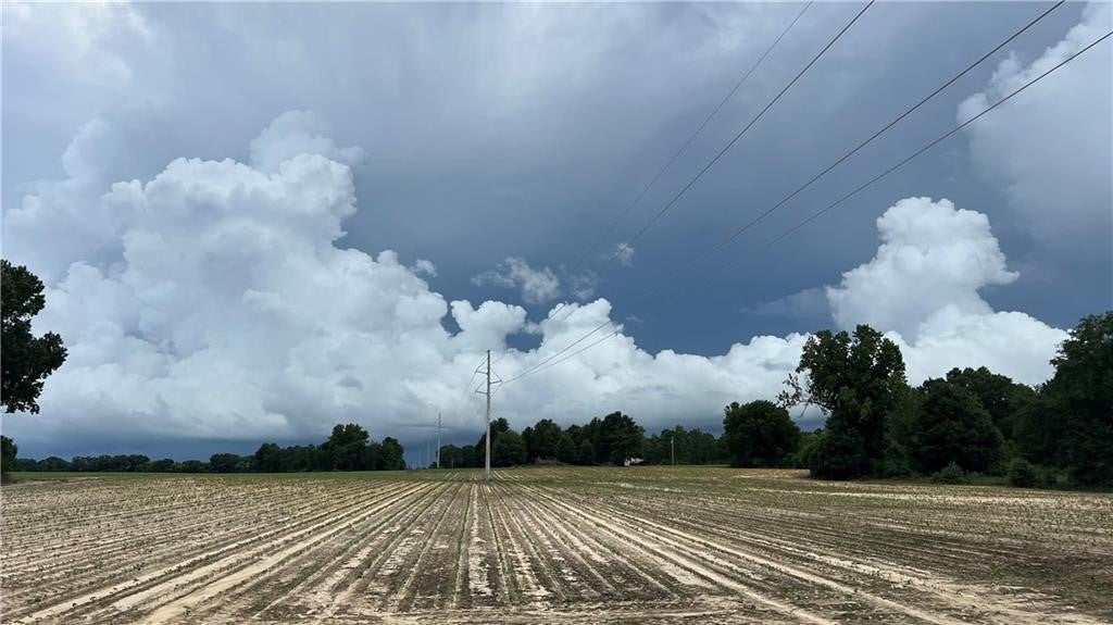 0 Sweetwater Branch Road Fort Mitchell, AL 36856 - Photo 9 of 20 Gallery Image 9