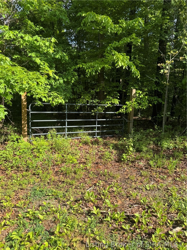0 North Side Of Daily Road Pekin, IN 47165 - Photo 2 of 4