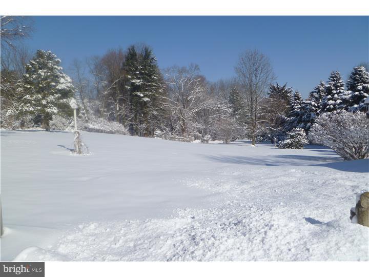 391 Zynn Road Downingtown, PA 19335 - Photo 20 of 22 Back Yard