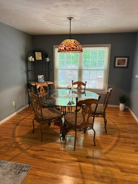 2948 Hendriske Road Young Harris, GA 30582 - Photo 6 of 20 a view of a dining room with furniture window and wooden floor