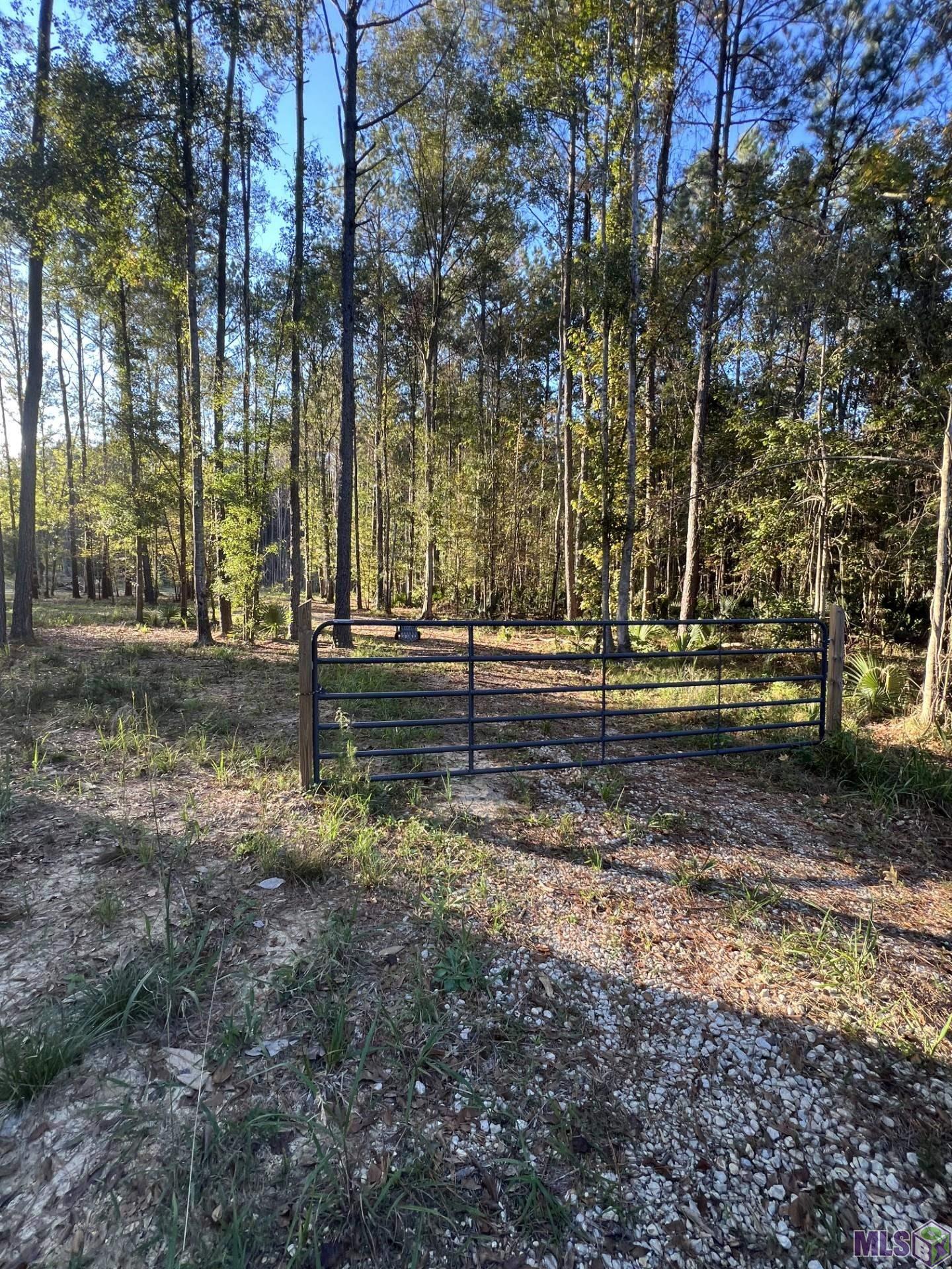 14333 Springfield Road Walker, LA 70785 - Photo 3 of 7 Gallery Image 3