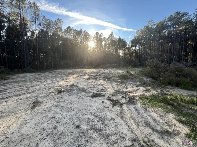 $89,900 | 14333 Springfield Road, Walker, LA 70785