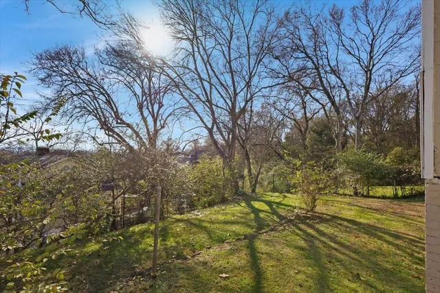 a view of yard with tree
