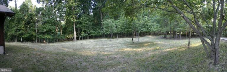1400 Woodwell Road Silver Spring, MD 20906 - Photo 4 of 20 a view of a forest
