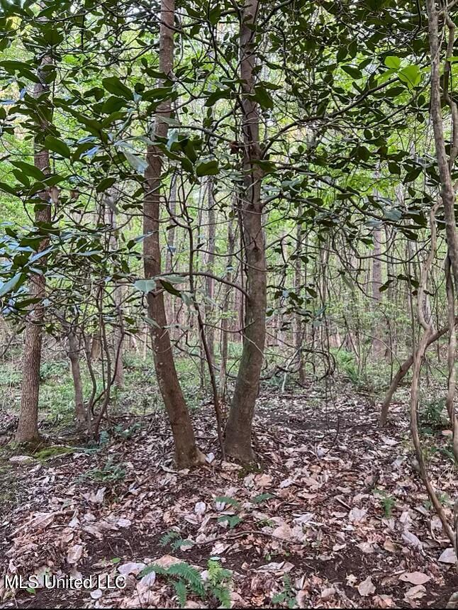 0 Ashley Road Brandon, MS 39042 - Photo 7 of 19 8AF88955-D001-4F24-B930-BF557C8188F3