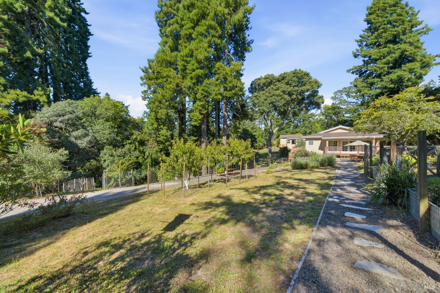 10960 Barnett Valley Road Sebastopol, CA 95472 - Photo 32 of 47