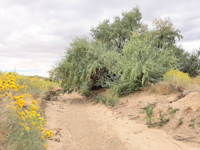 271 Thompson Cyn Road Green River, UT 84525 - Photo 7 of 26 Dry wash great for exploring.