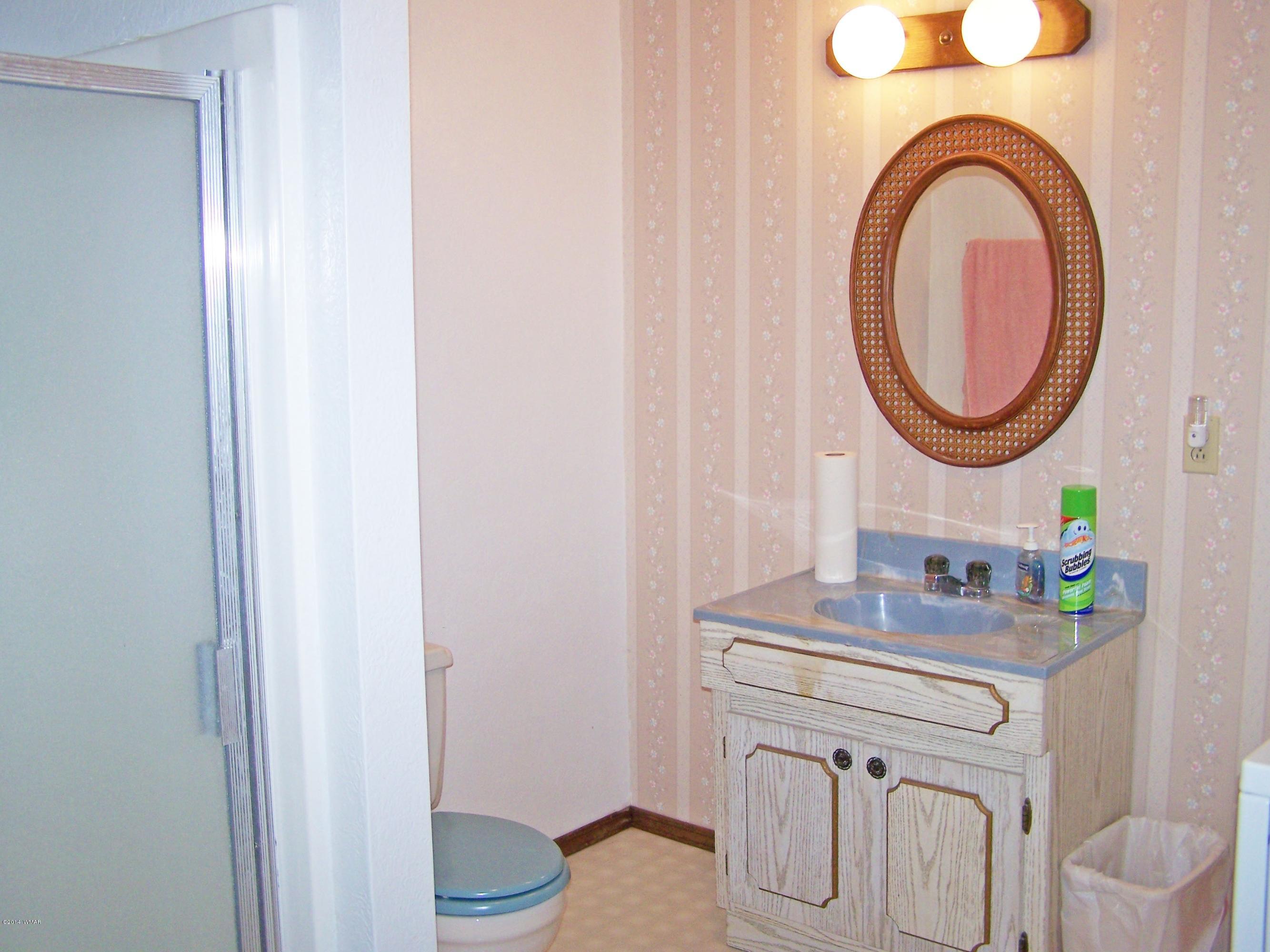 7 County Road 2135 Alpine, AZ 85920 - Photo 12 of 16 a bathroom with a sink and a mirror