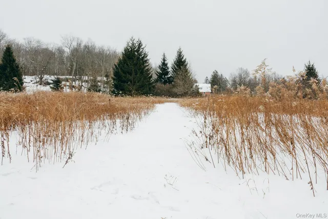 $799,000 | 13 North Pond Drive, Parksville, NY 12768