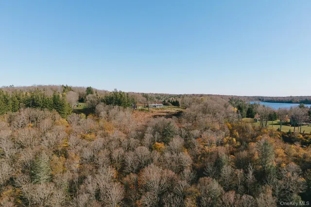 $799,000 | 13 North Pond Drive, Parksville, NY 12768