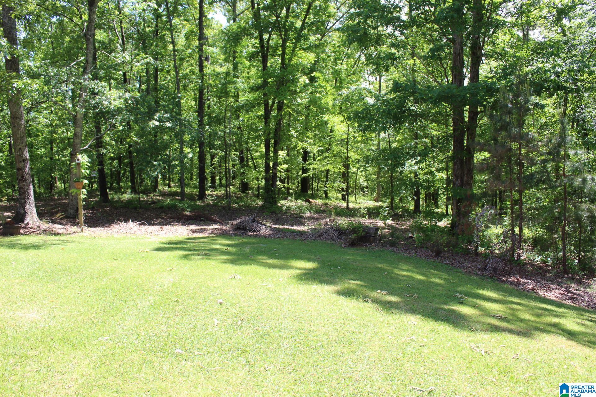 270 Duke School Road Wellington, AL 36279 - Photo 65 of 80