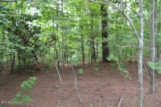 318 Rhodas Way Sunbright, TN 37872 - Photo 20 of 55 DSC_0048