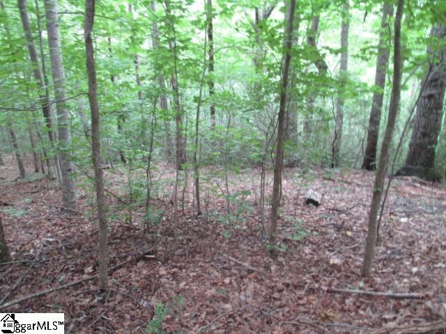 122 Ledge Road Cleveland, SC 29635 - Photo 1 of 18