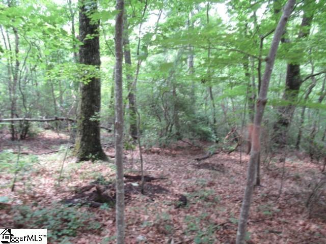 122 Ledge Road Cleveland, SC 29635 - Photo 2 of 18