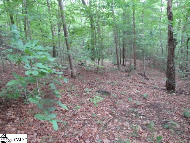 122 Ledge Road Cleveland, SC 29635 - Photo 5 of 18