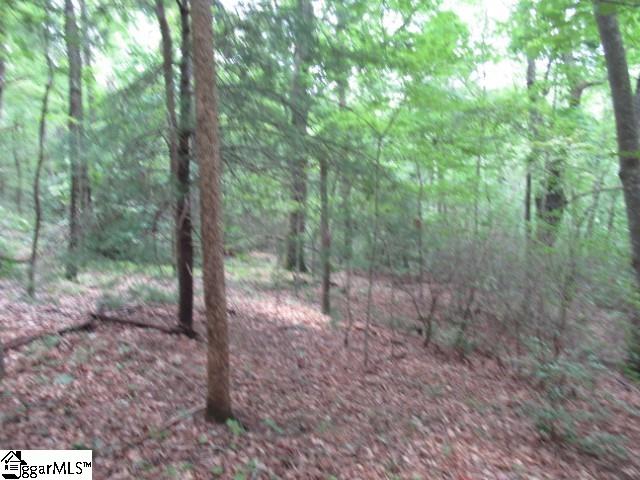 122 Ledge Road Cleveland, SC 29635 - Photo 8 of 18