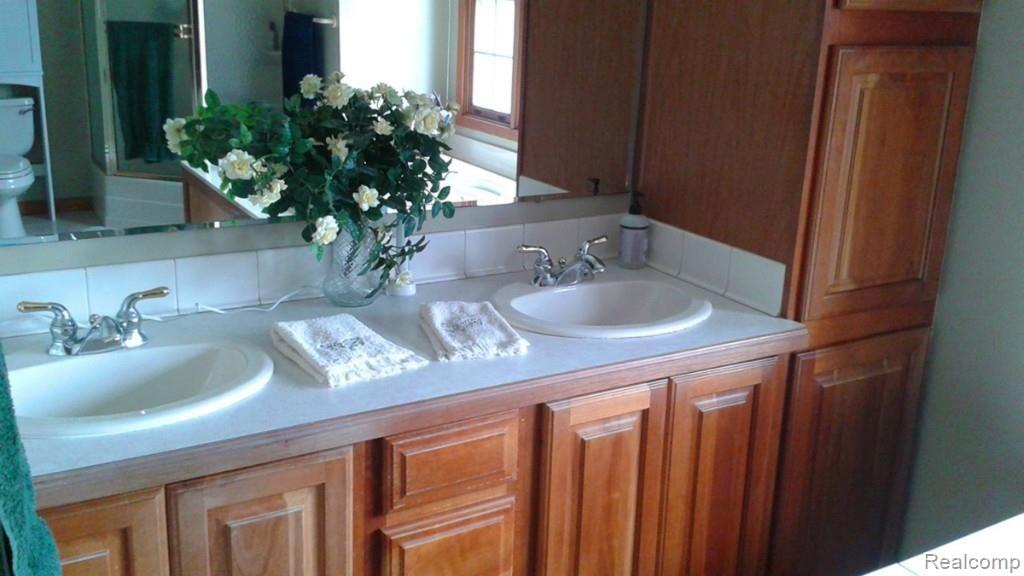 10390 Palmer Road Maybee, MI 48159 - Photo 23 of 39 master bath 1.jpg