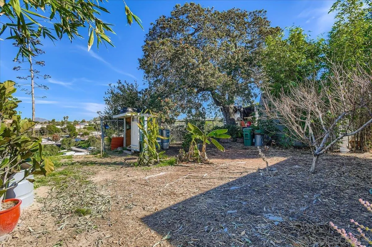 3275 East Virgo Road San Diego, CA 92105 - Photo 22 of 38 a view of a yard with a tree