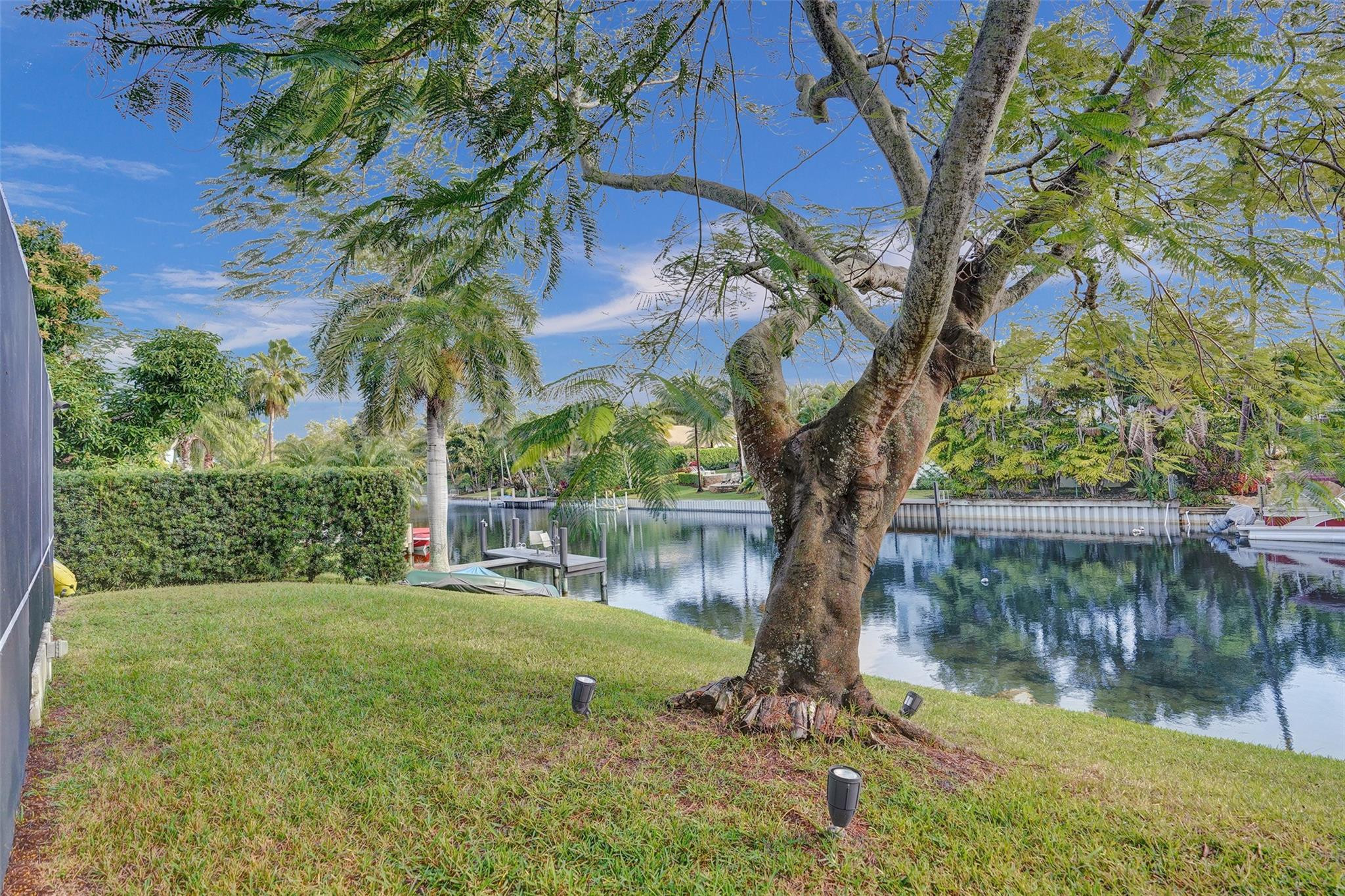 551 Anchor Point Delray Beach, FL 33444 - Photo 44 of 46 a view of a tree in front of a yard with plants and a lake view