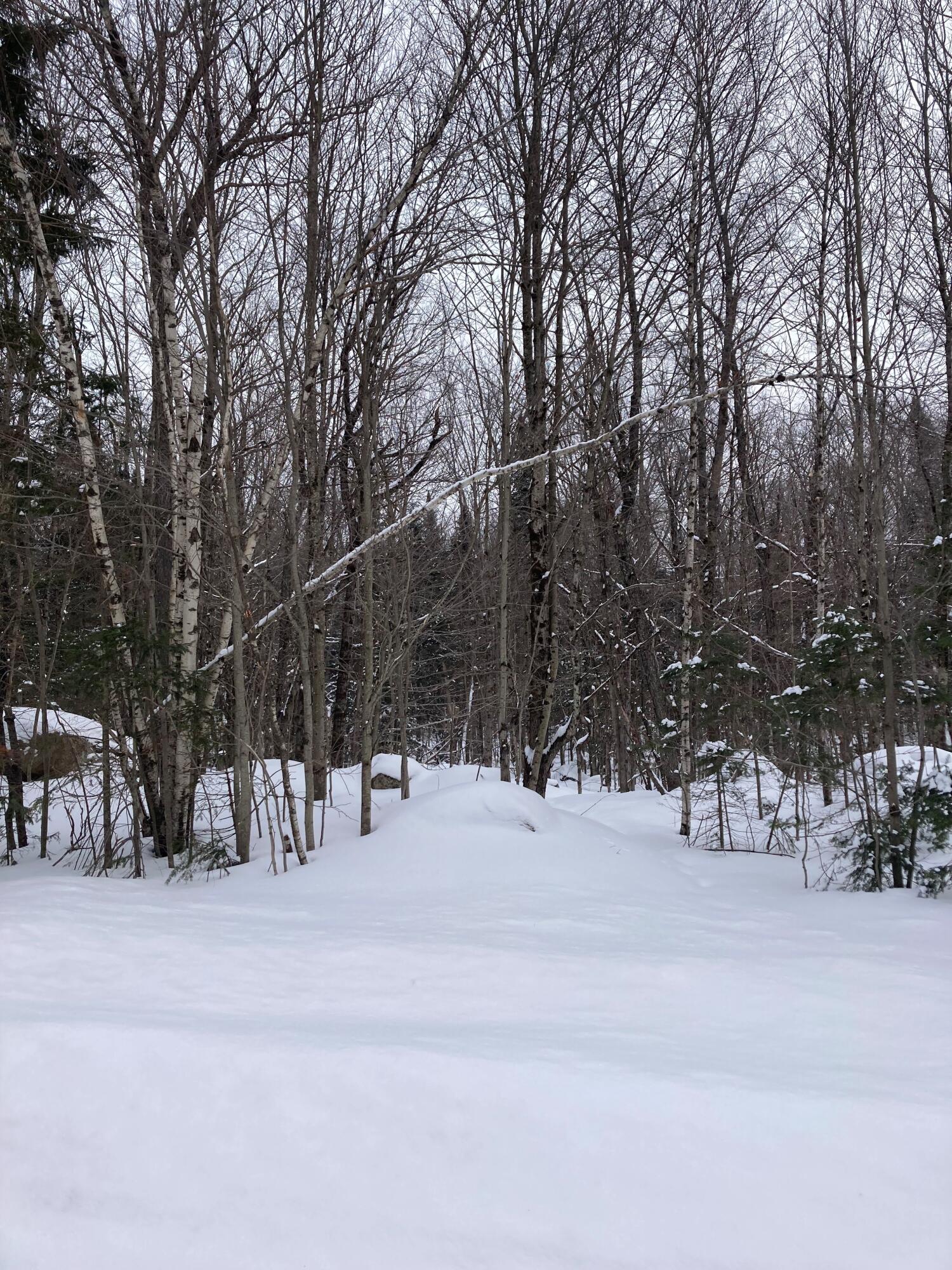 0 Walkerville Road North Bangor, NY 12966 - Photo 2 of 5 Land