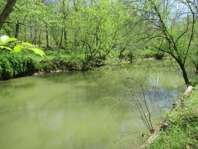 1424 Willisburg Road Lawrenceburg, KY 40342 - Photo 9 of 9 IMG_1628 (Small)
