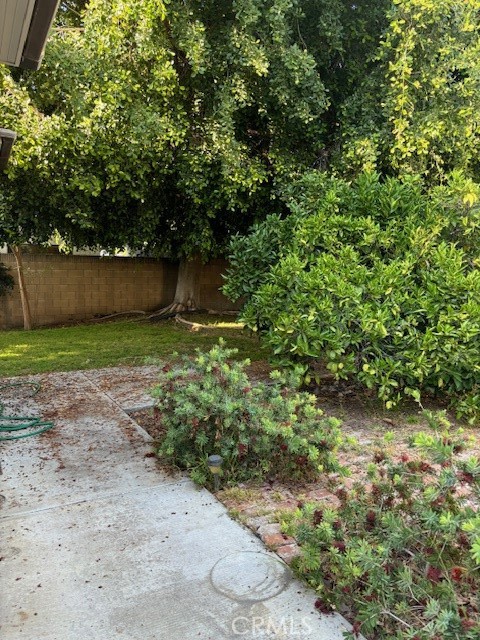6314 Friends Avenue Whittier, CA 90601 - Photo 10 of 12 a view of a yard with plants and large trees