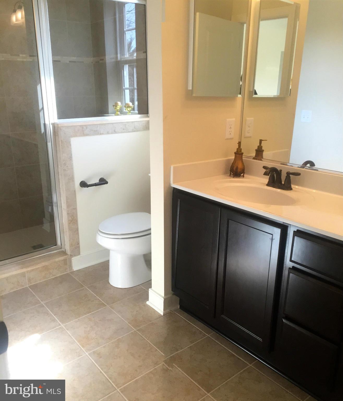 1011 Overbrook Road Baltimore, MD 21239 - Photo 22 of 24 a bathroom with a sink and a toilet