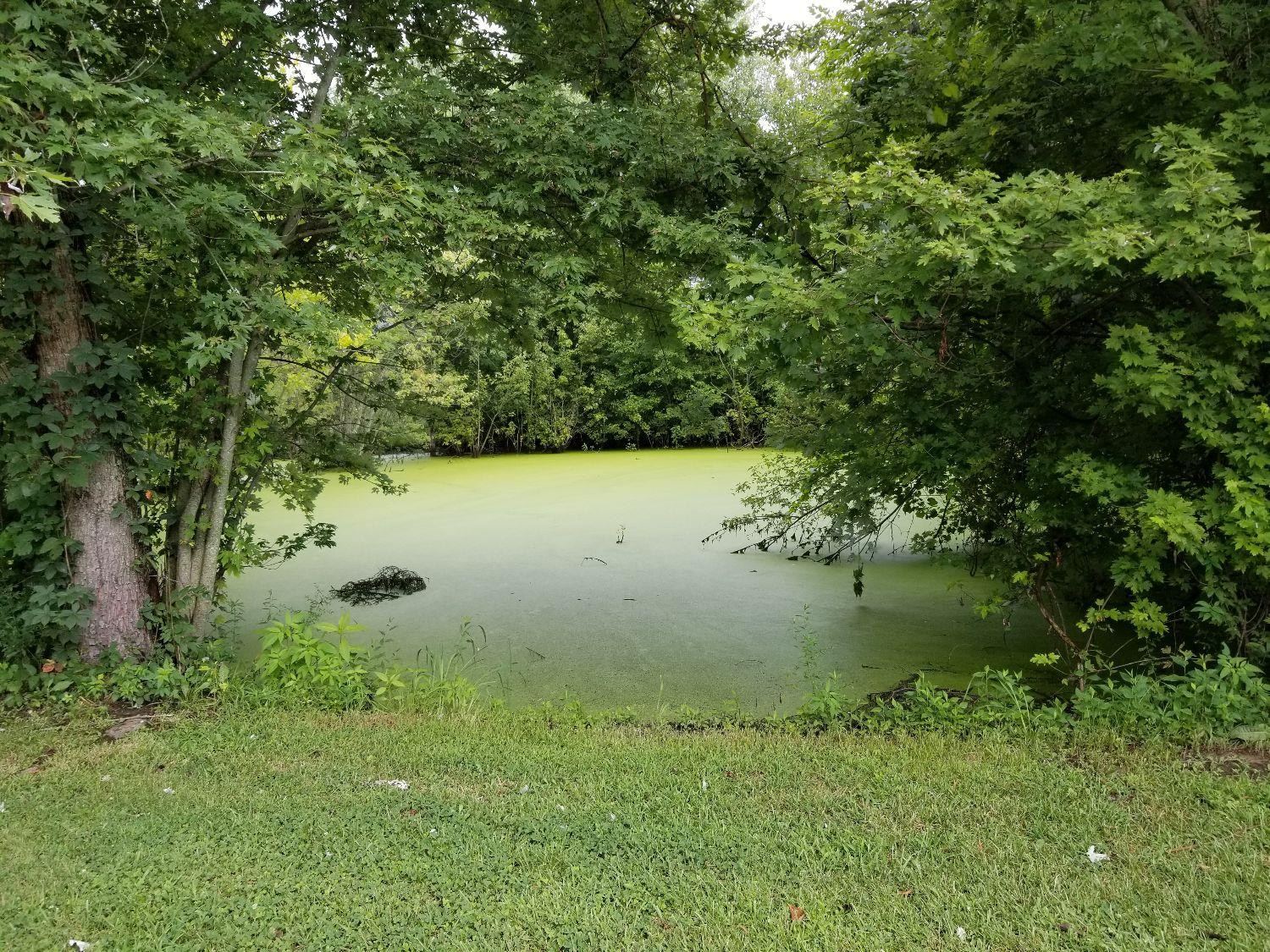 1109 Poor Ridge Pike Lancaster, KY 40444 - Photo 55 of 58 Photo 55