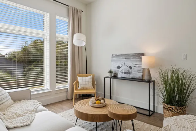 a living room with furniture and a potted plant