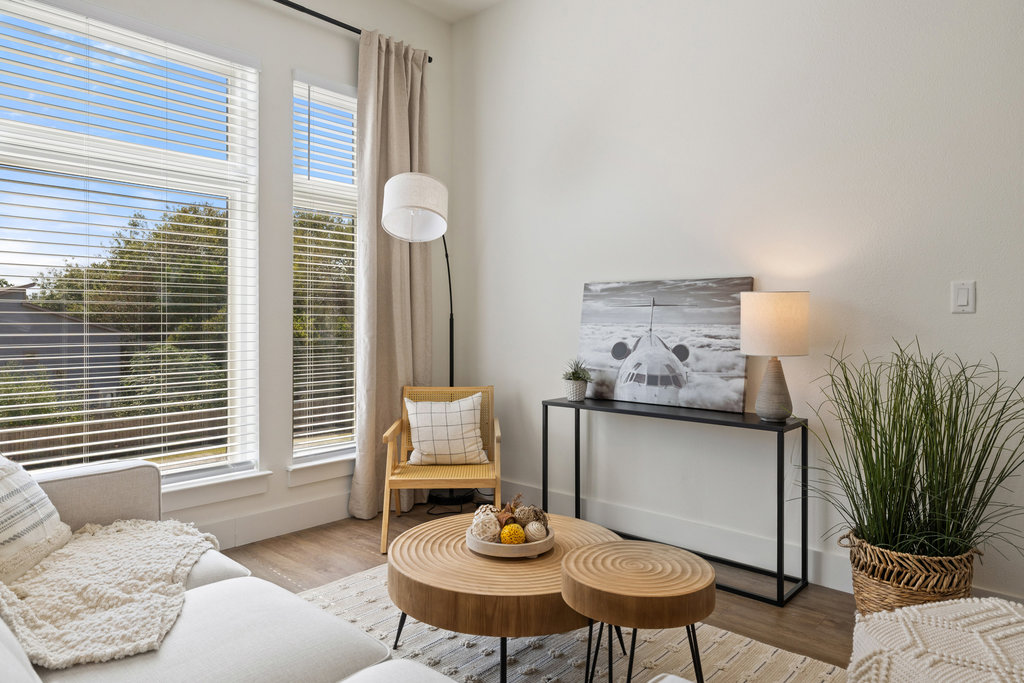 1811 Webberville Road, Unit 1209 Austin, TX 78721 - Photo 4 of 35 a living room with furniture and a potted plant