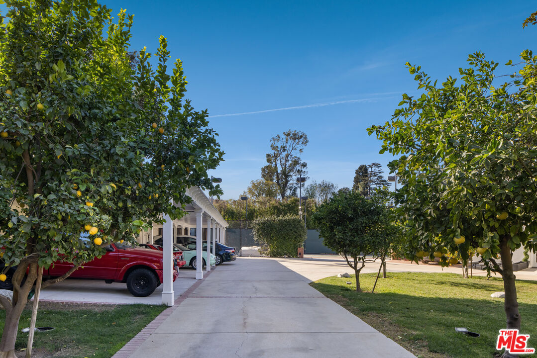 17503 Rancho Street Encino, CA 91316 - Photo 30 of 31