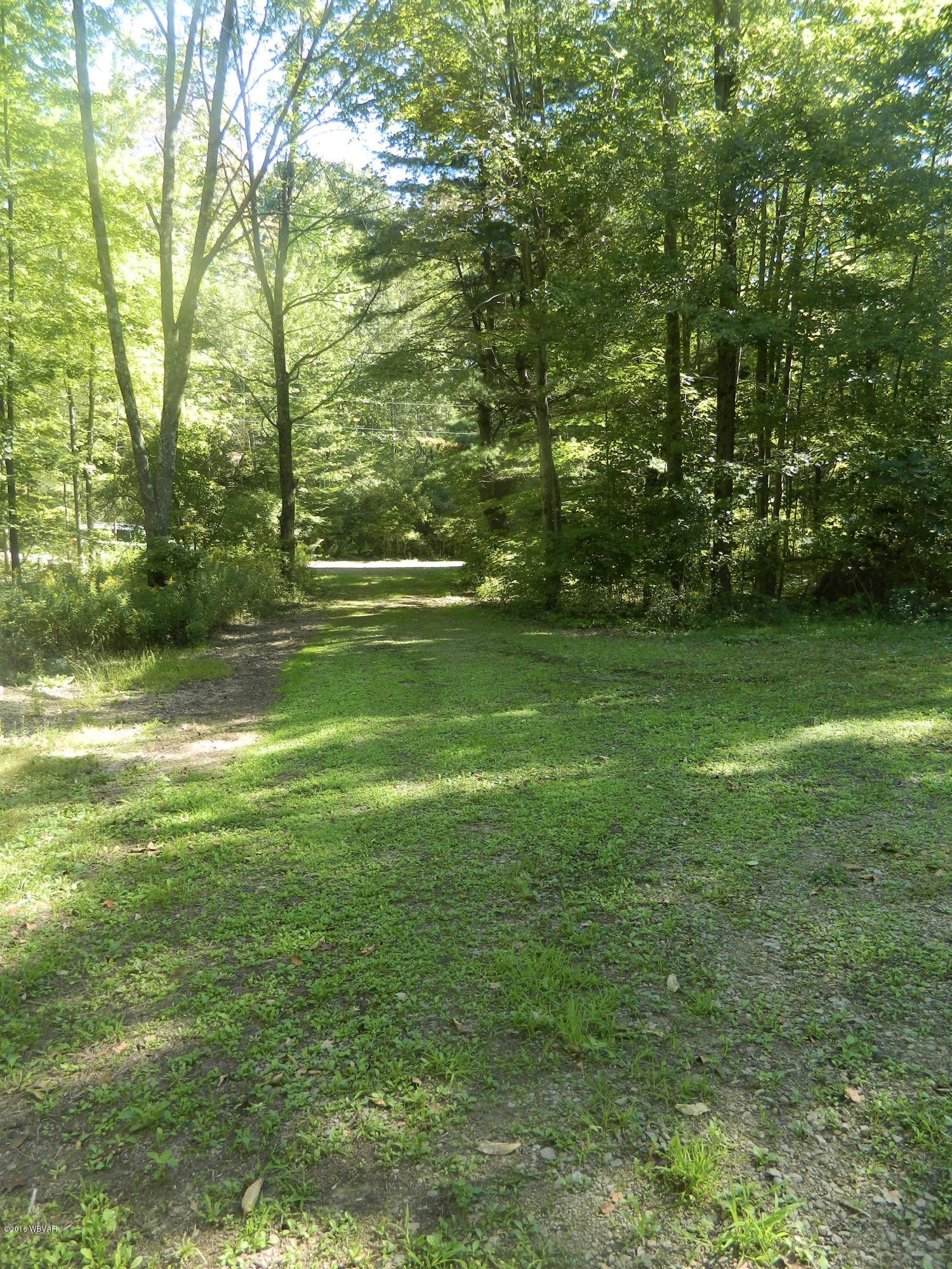 18 Walsh Road Dushore, PA 18614 - Photo 14 of 15 Looking from Cabin toward Walsh Road