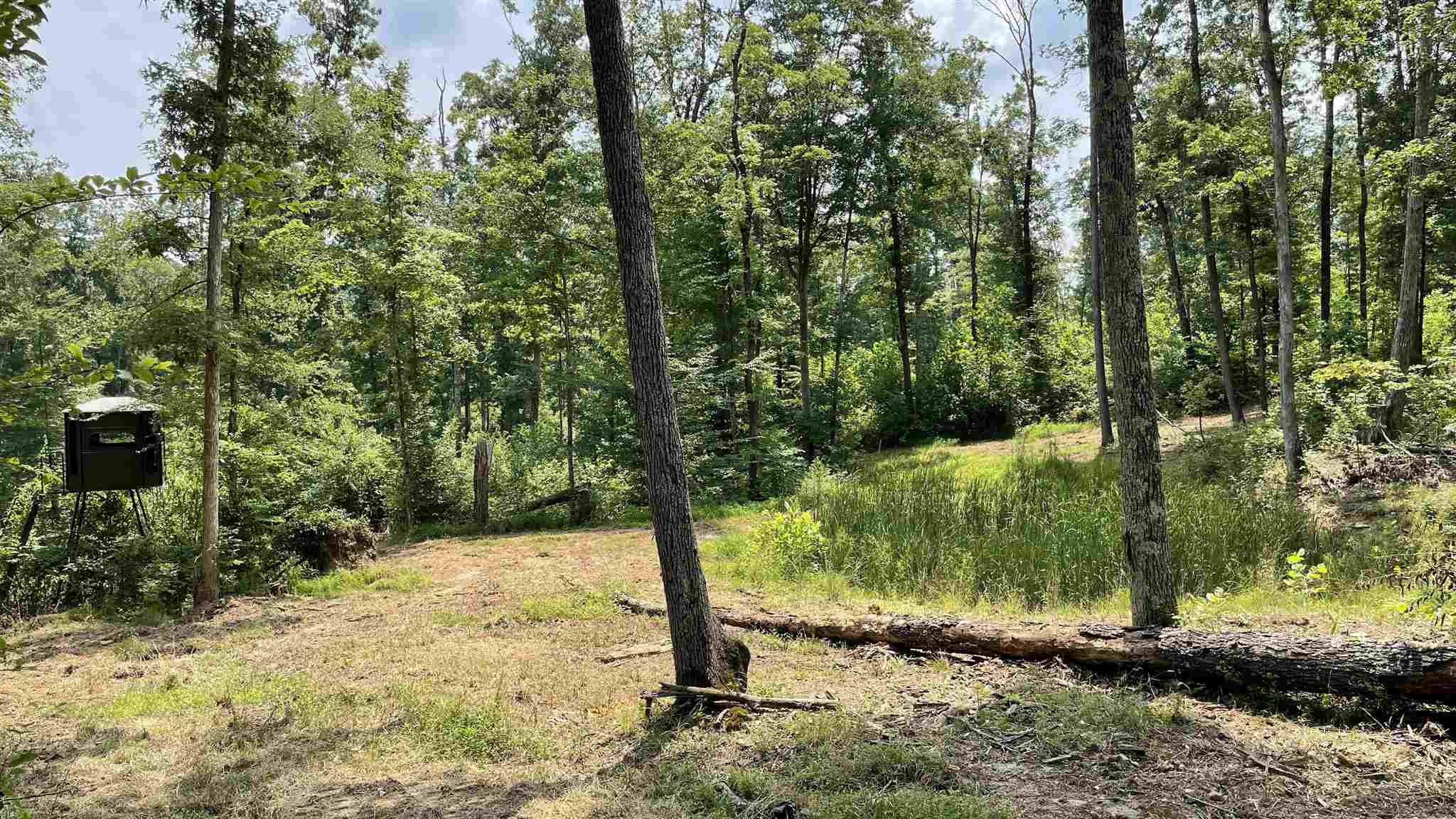 East Carnes Mill Road English, IN 47118 - Photo 2 of 21