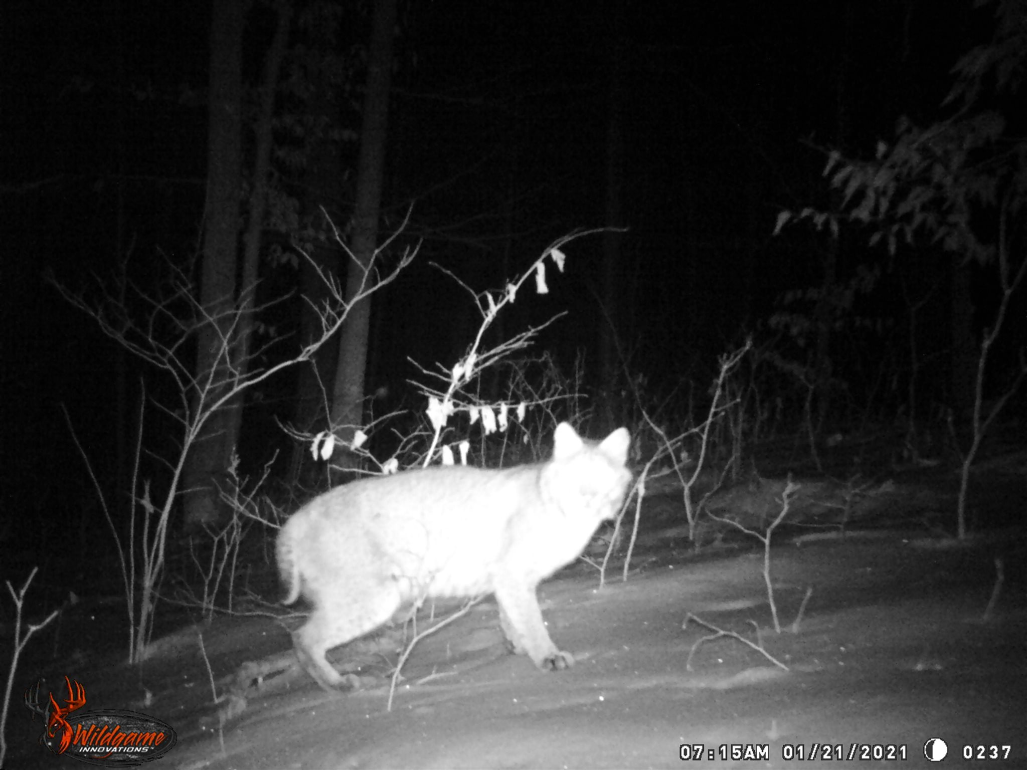East Carnes Mill Road English, IN 47118 - Photo 13 of 21