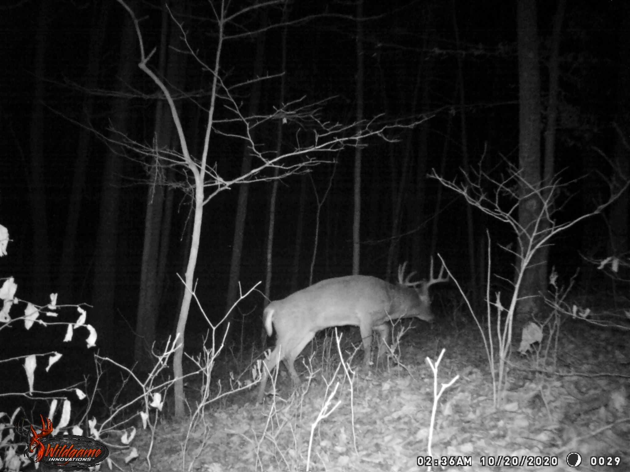 East Carnes Mill Road English, IN 47118 - Photo 14 of 21