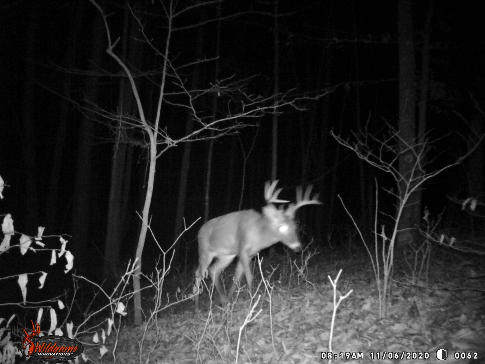 East Carnes Mill Road English, IN 47118 - Photo 17 of 21