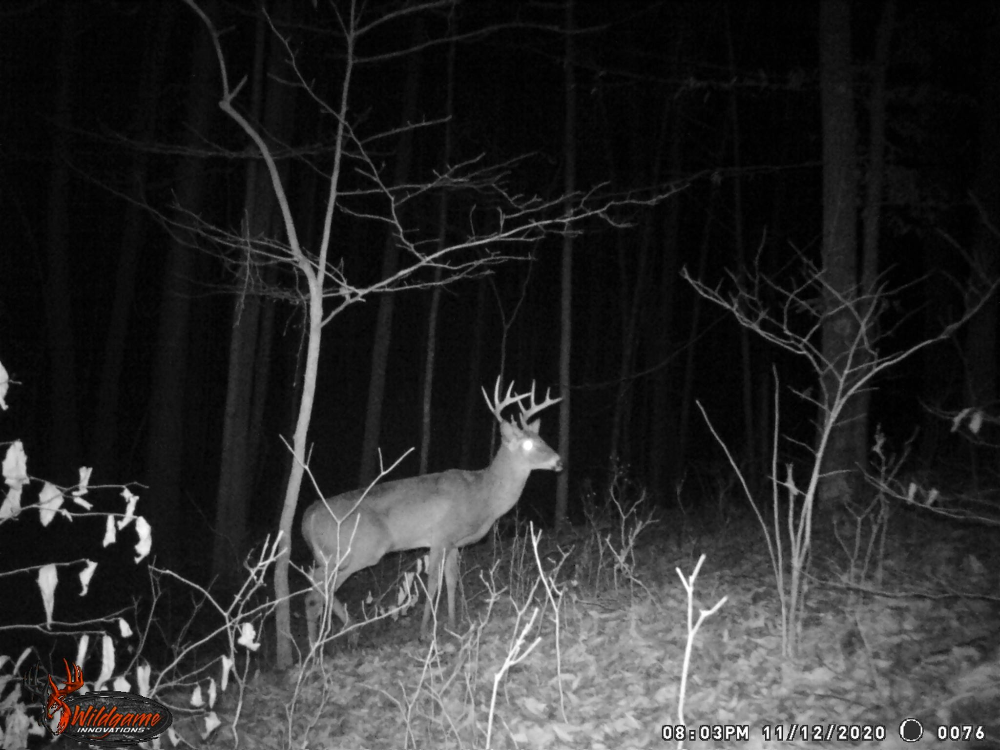 East Carnes Mill Road English, IN 47118 - Photo 18 of 21