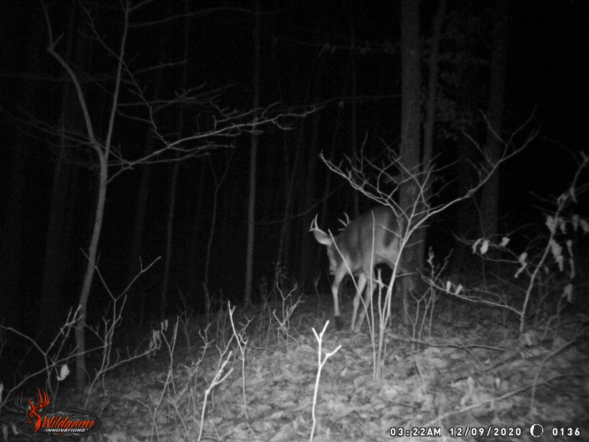 East Carnes Mill Road English, IN 47118 - Photo 20 of 21