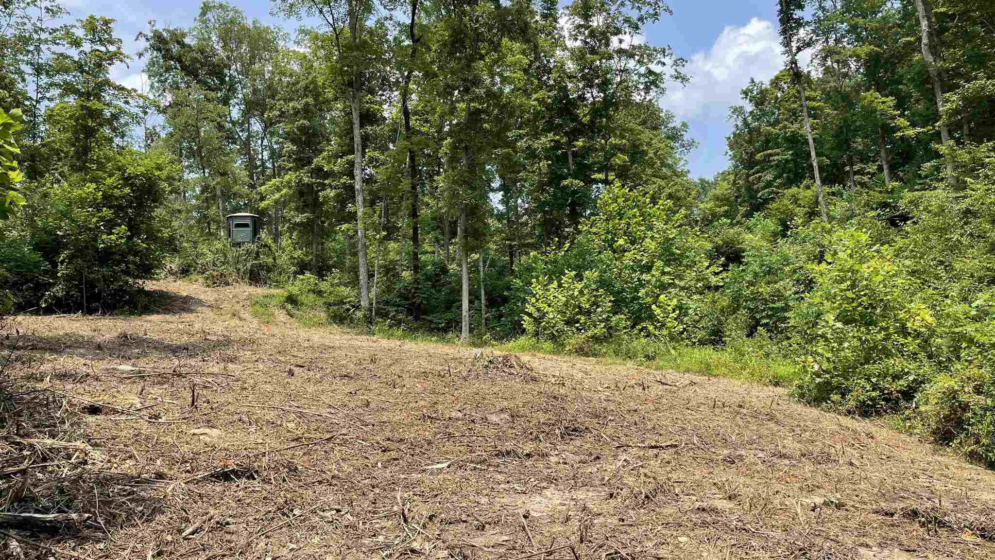 East Carnes Mill Road English, IN 47118 - Photo 3 of 21
