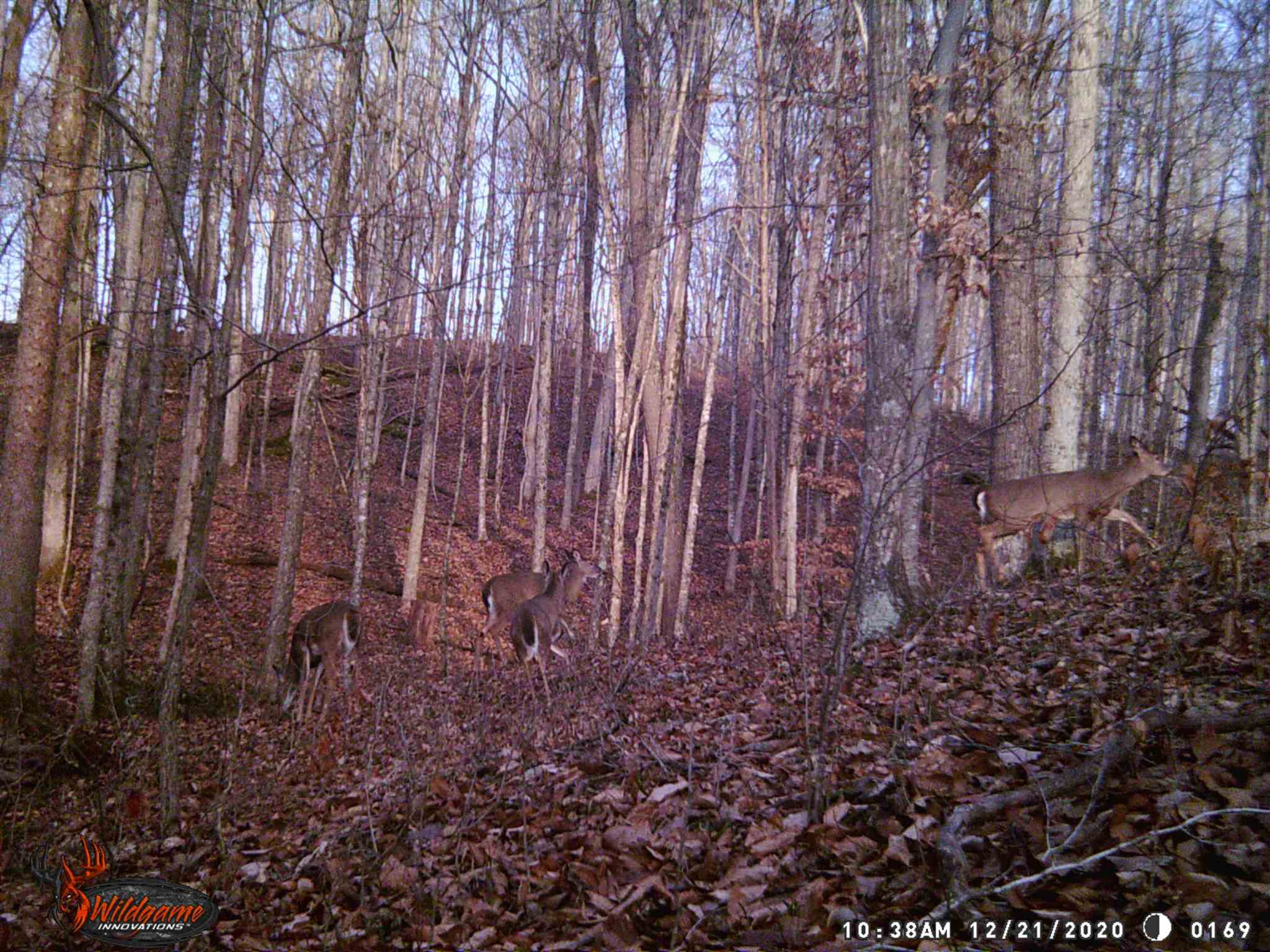 East Carnes Mill Road English, IN 47118 - Photo 21 of 21