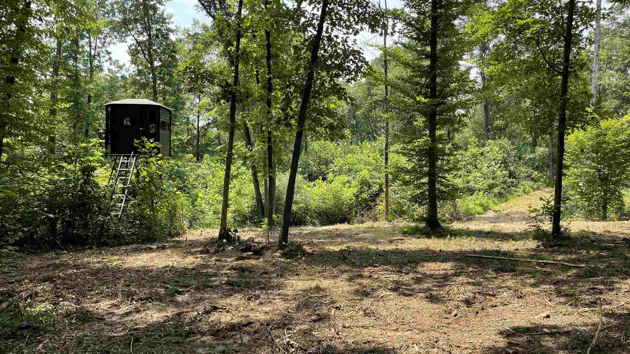 East Carnes Mill Road English, IN 47118 - Photo 5 of 21
