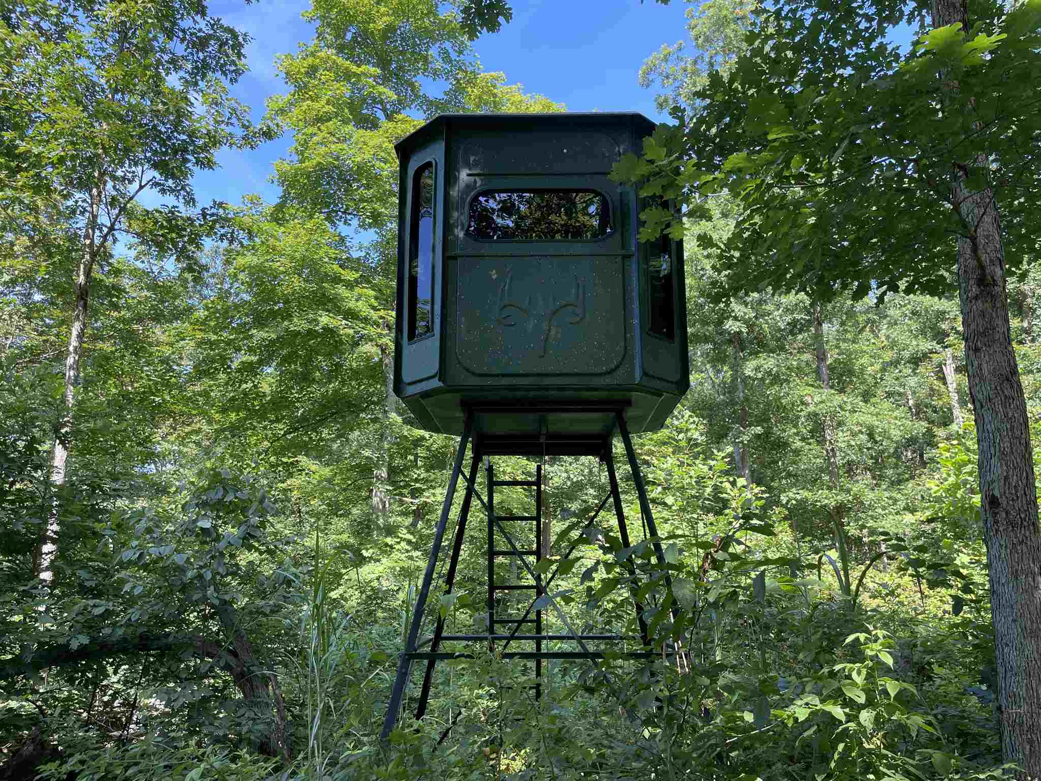 East Carnes Mill Road English, IN 47118 - Photo 6 of 21