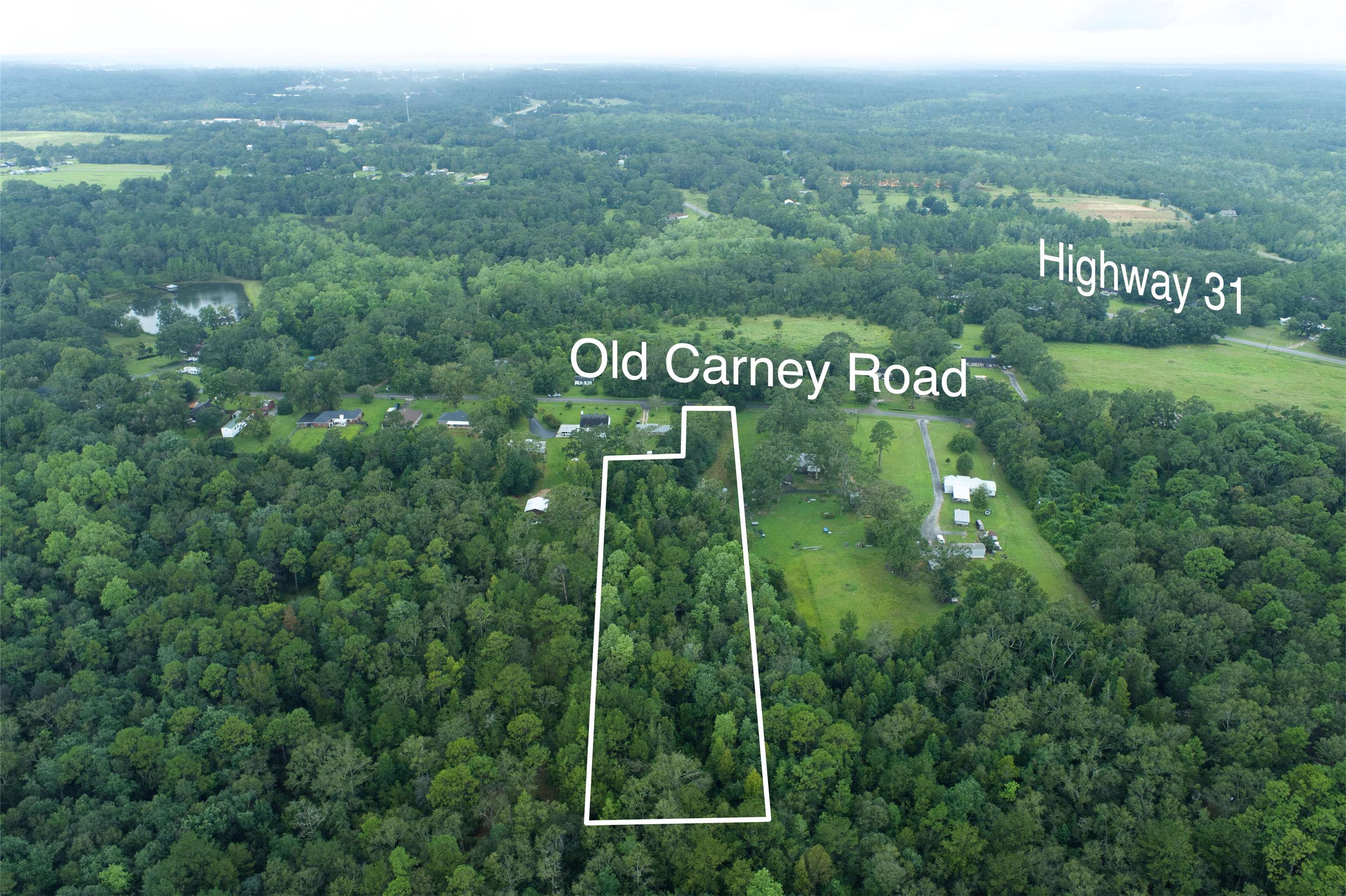 45930 Old Carney Road Bay Minette, AL 36507 - Photo 7 of 7