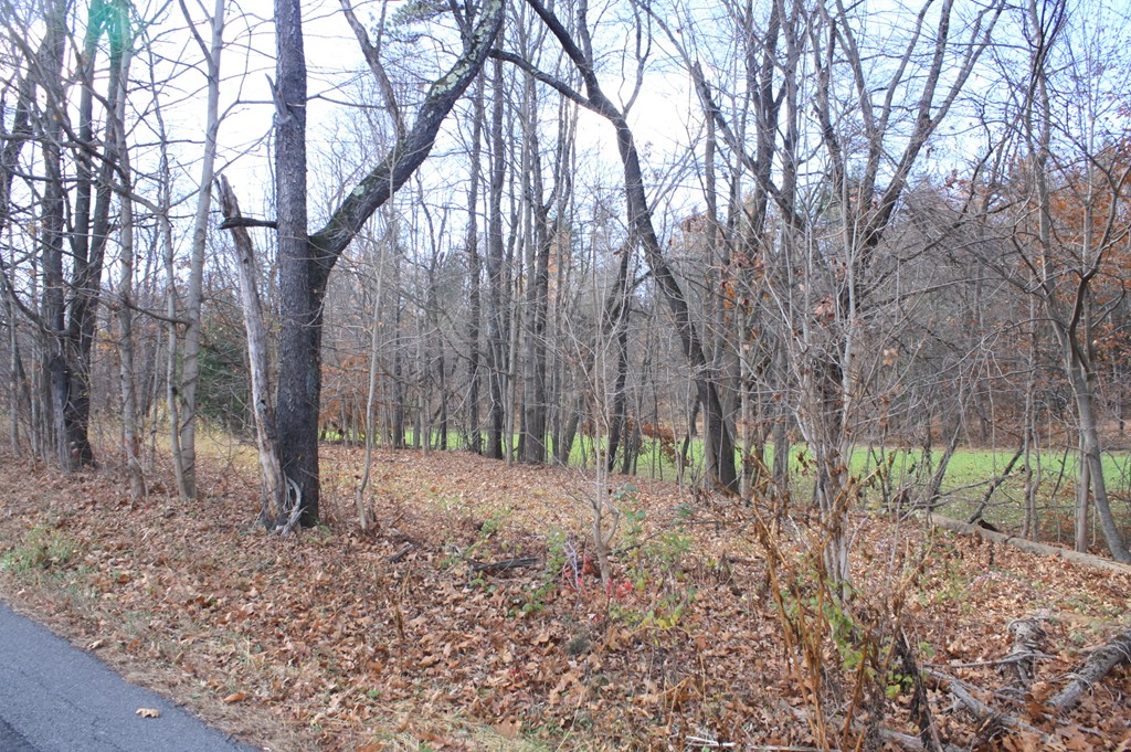 Lot 4 A River Road Deerfield, MA 01342 - Photo 1 of 1 Gallery Image 1